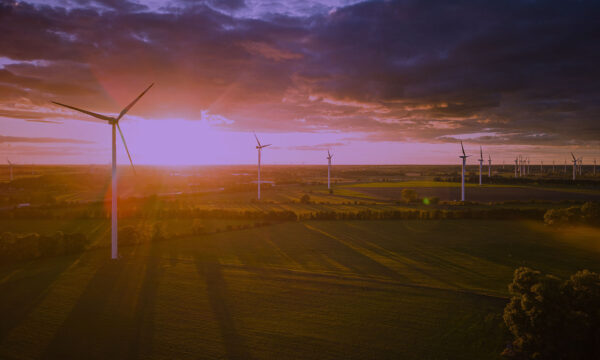 Green working conditions: the new trend